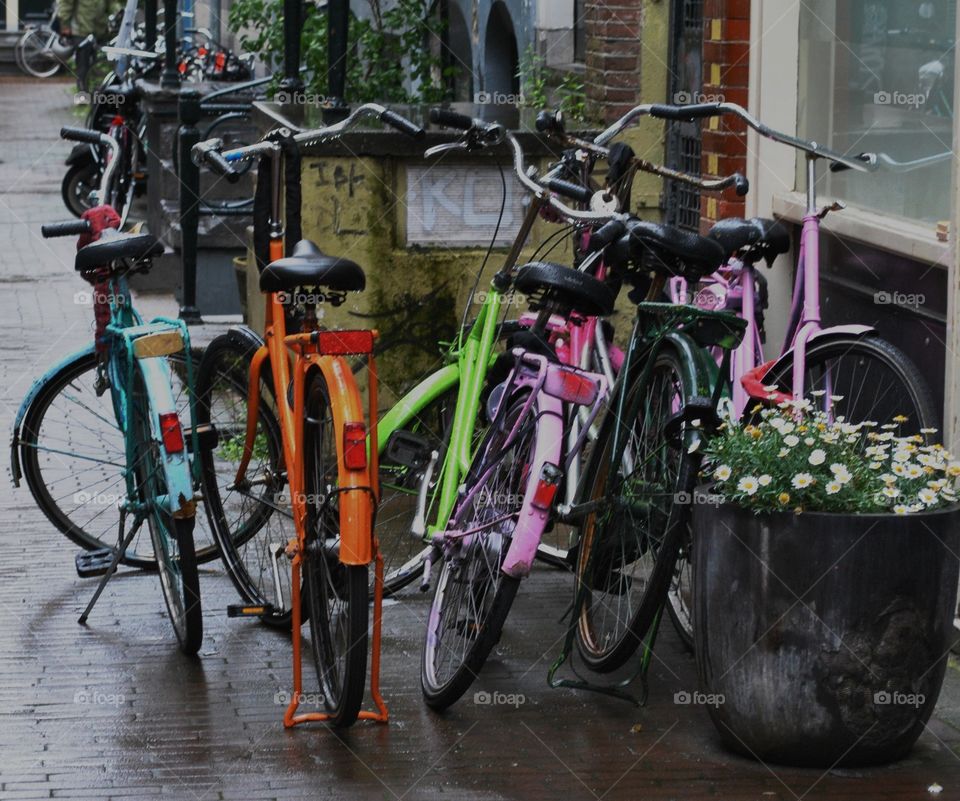 Bikes Parked on the Street in Amsterdam