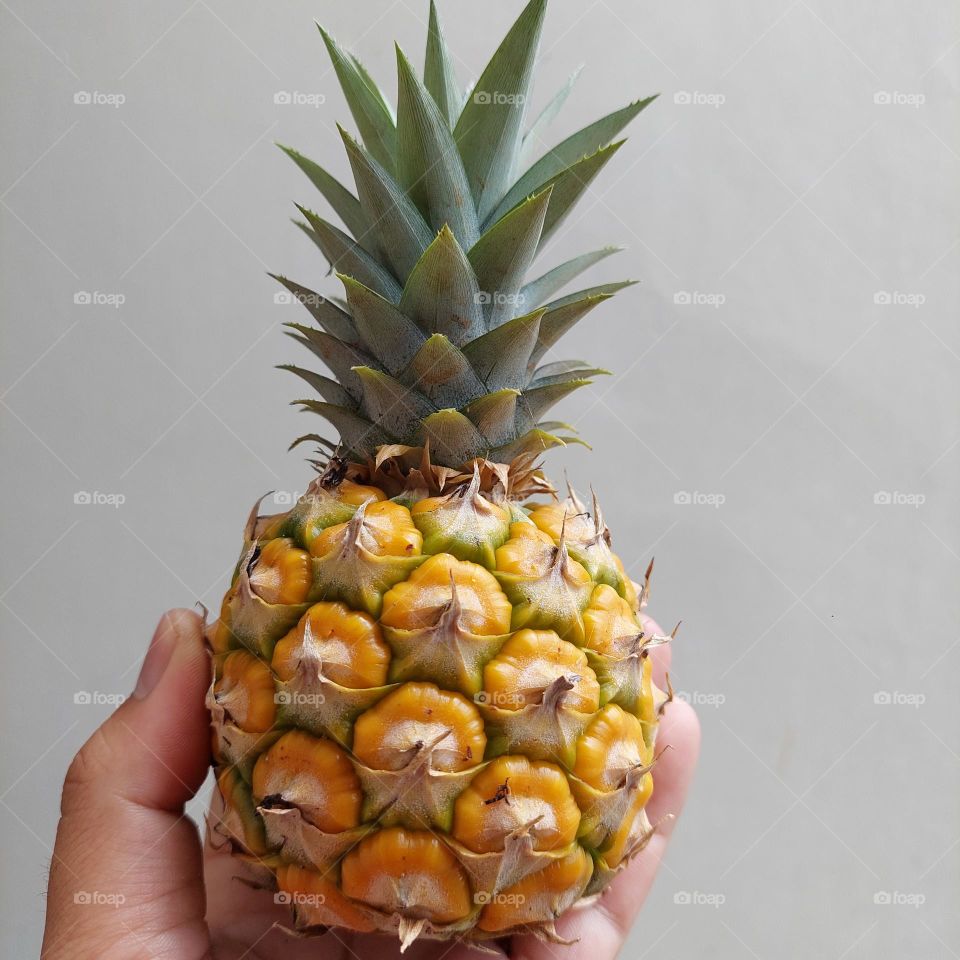small pineapple fruit but ripe