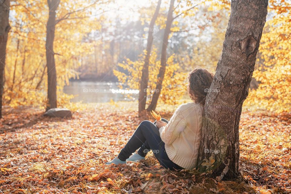 autumn colors