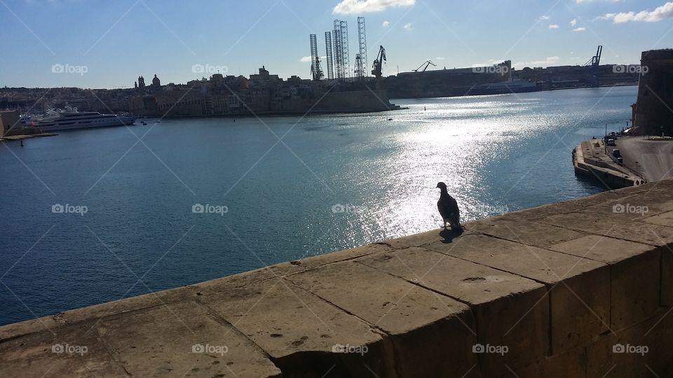 Valletta harbour in Malta on Xmas day