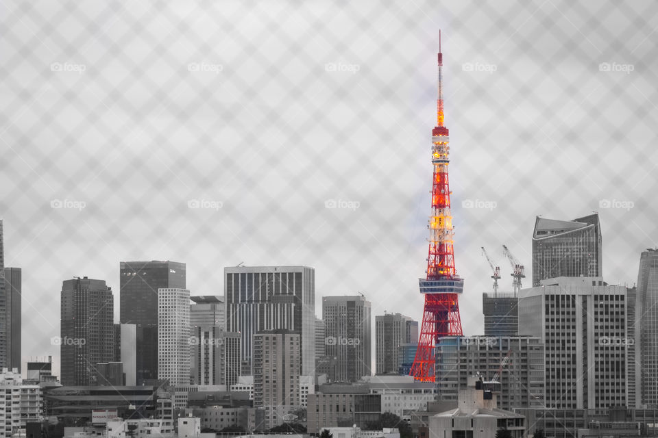 Tokyoo tower and skyscraper in the nice scene