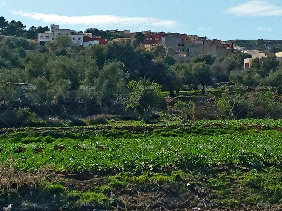Population between the agricultural lands