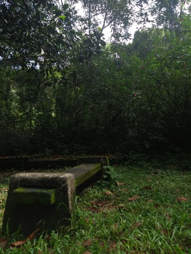 Green Nature