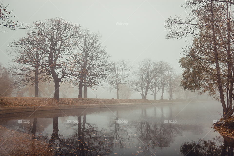 Misty landscape with pond in late autumn 