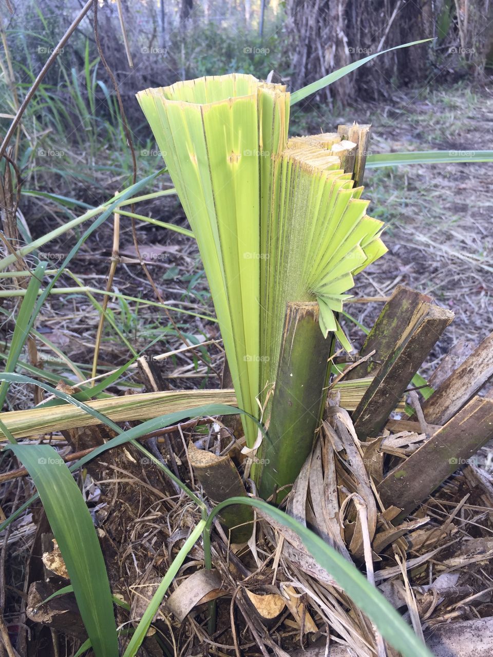 New year, new start. I want to be more in tune with the great outdoors this Jan2018, that’s my greatest New Year Resolution. 