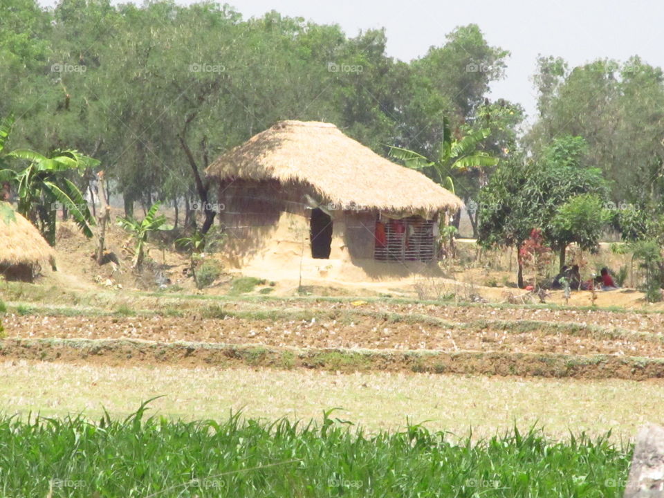 Hut in rural village(India)