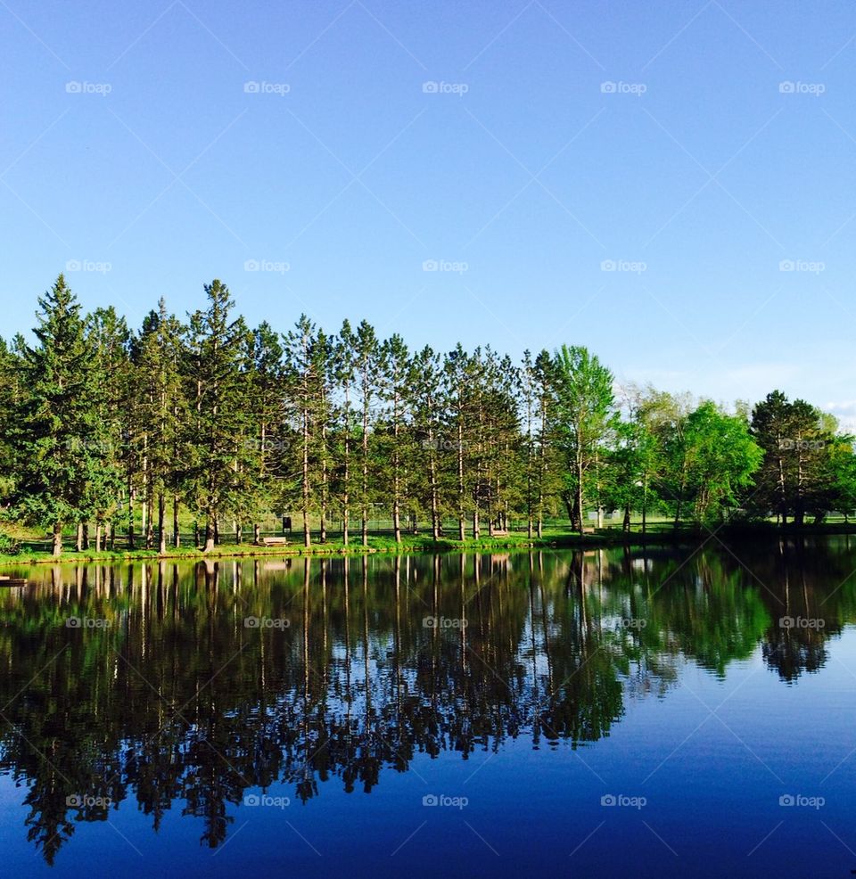 Symmetry in lake