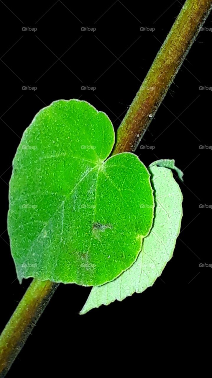 because its flashblack