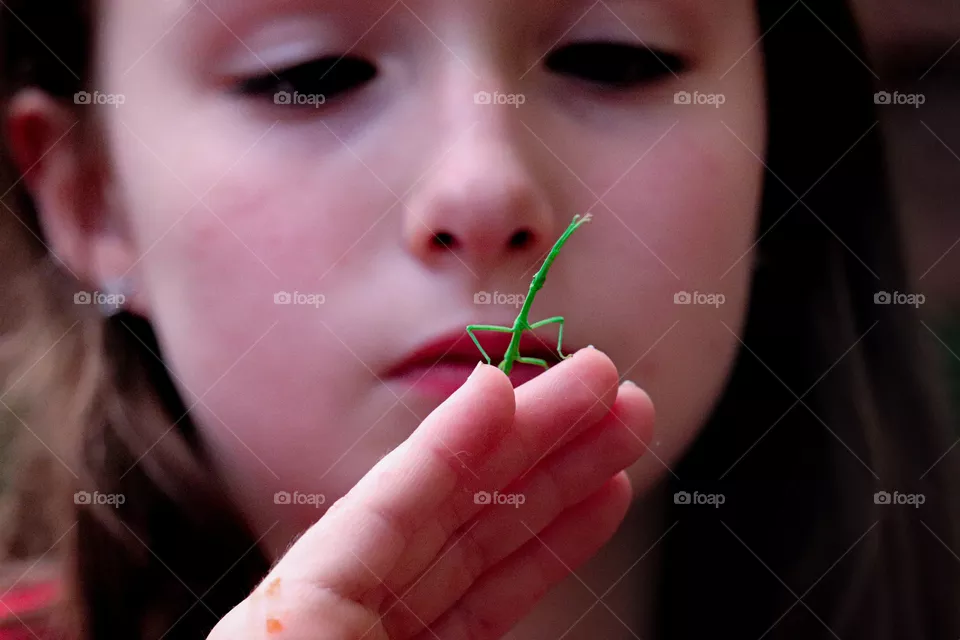 girl watching a Walking Stick