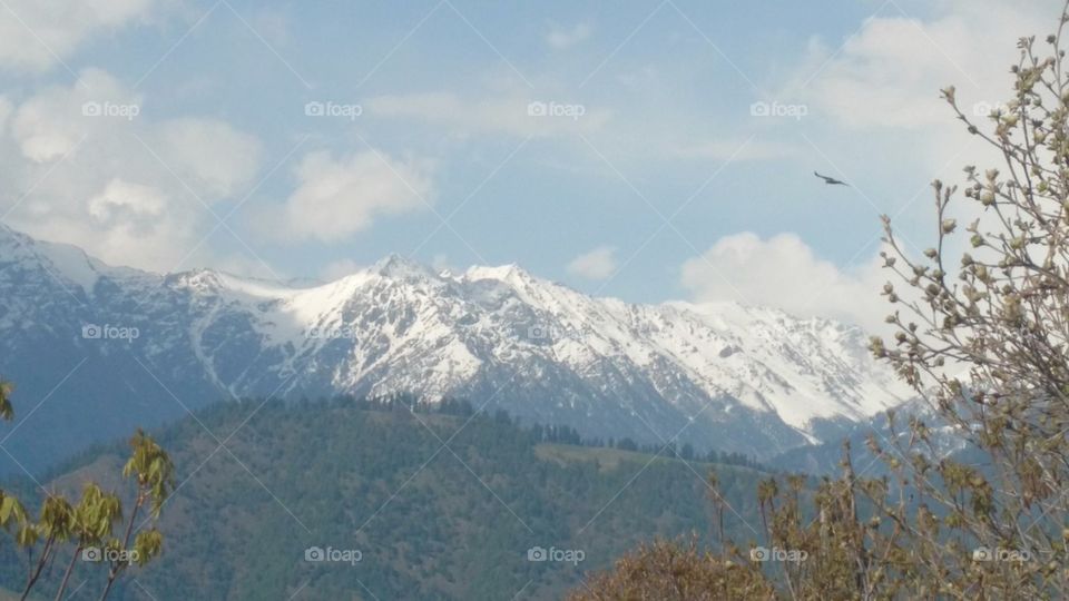 mountains covered by snow