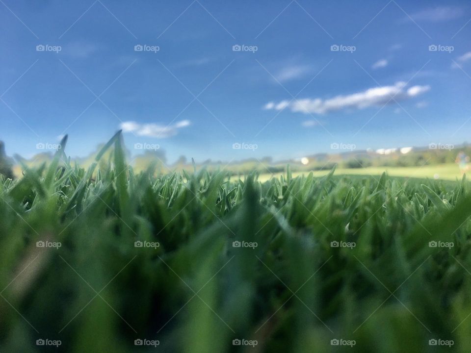 Laying in the grass on Christmas Day 