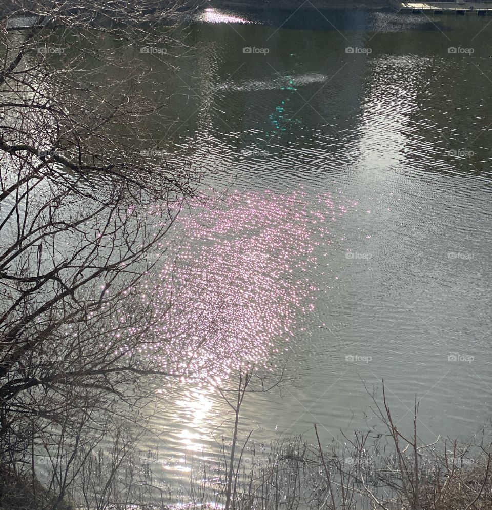 Pink reflections in the lake