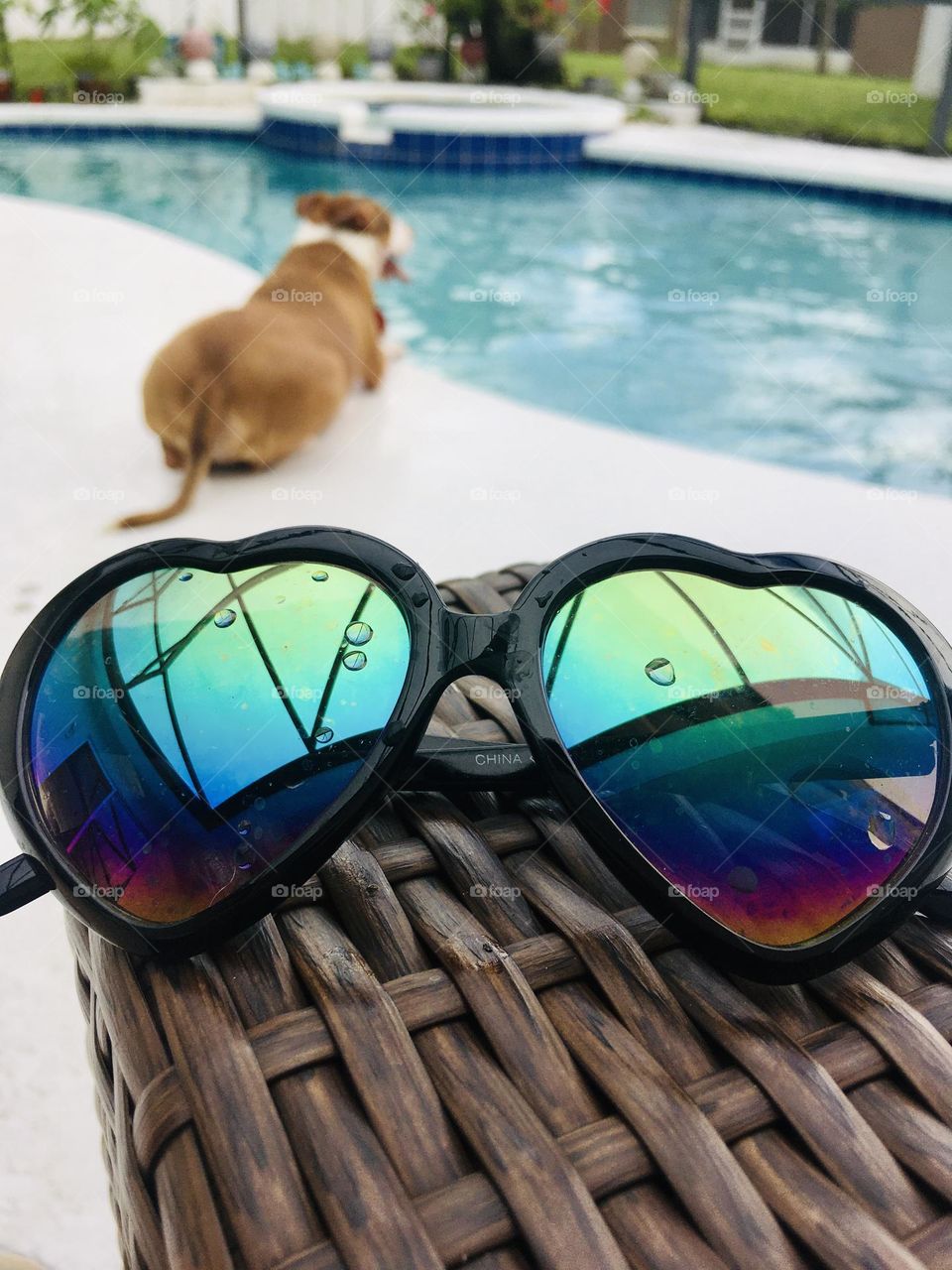 Heart sunglasses by the pool with a dog 🐶