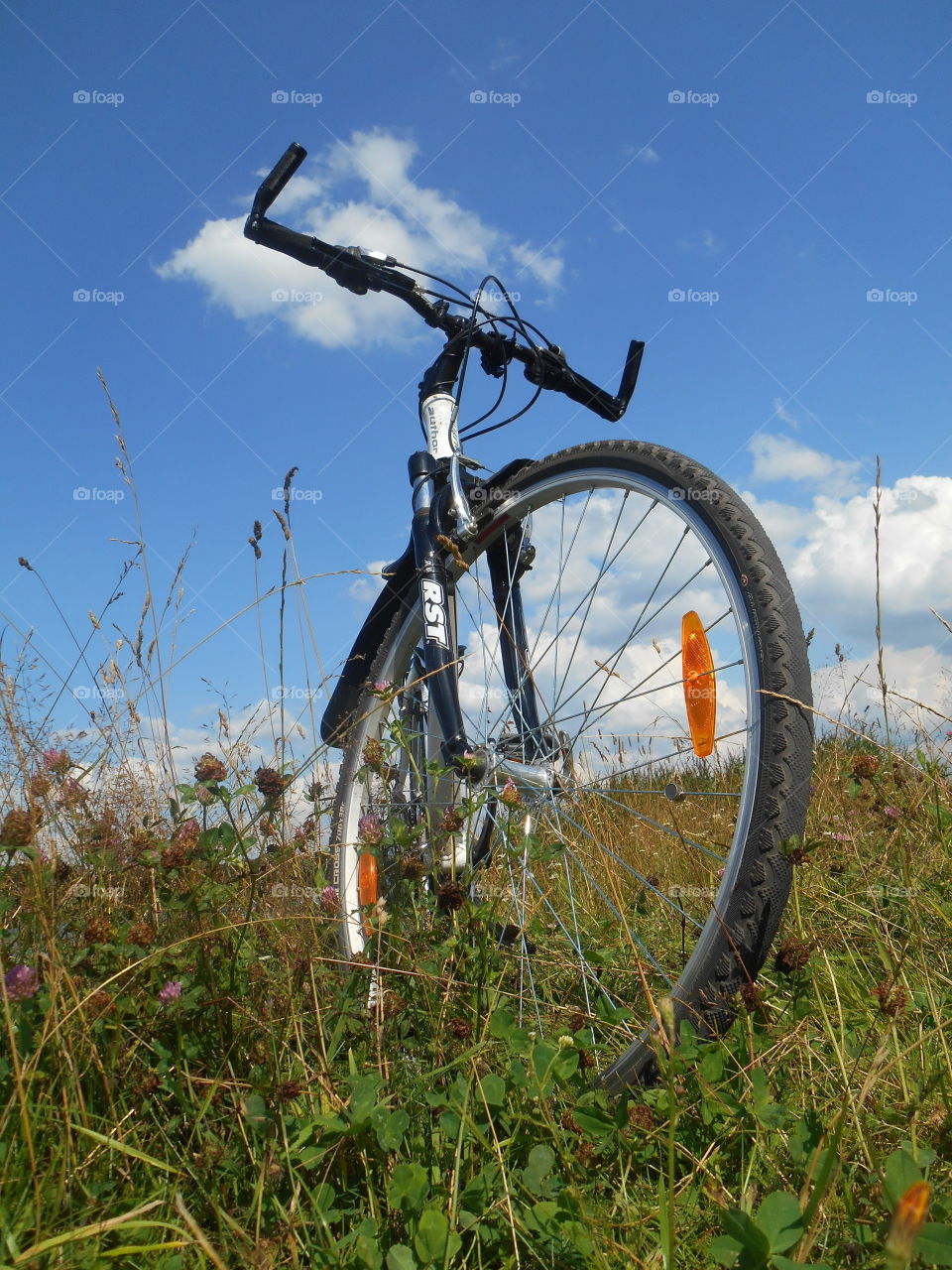 Wheel, Bike, No Person, Grass, Outdoors