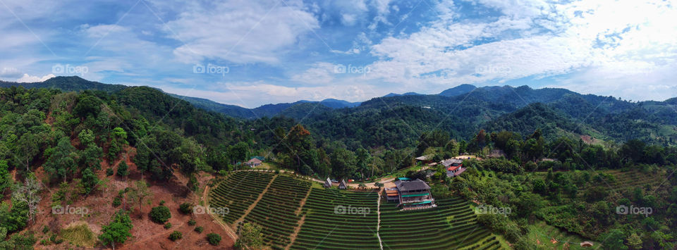 
Beautiful panoramic aerial view of tea plantation in the rural village farming area on the mountain with blue sky in the background. Mae Taeng District, Chiang Mai, Northern Thailand.