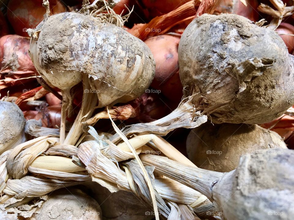 garden products, in composaa