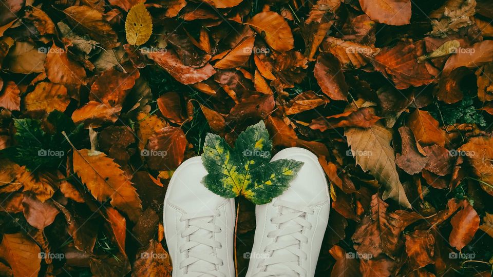 One pair of white sneakers with a green maple leaf lies on wet brown and withered foliage in the park on a gloomy autumn evening, close-up of Flat Lay.