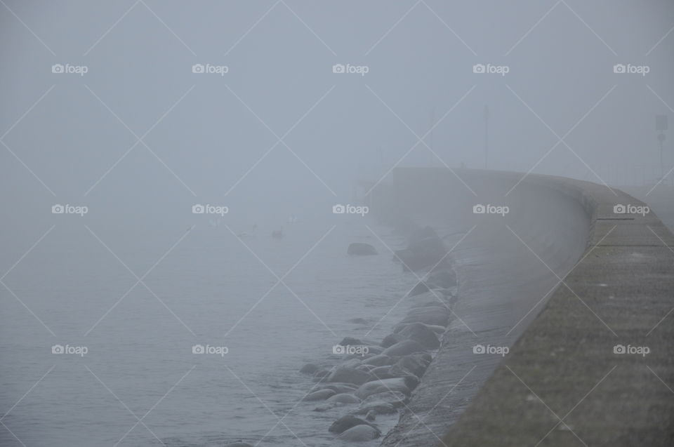 foggy day at the Baltic sea coast in Poland