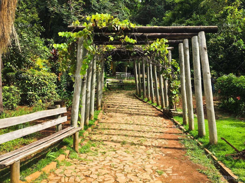 Beautiful walkway to forest