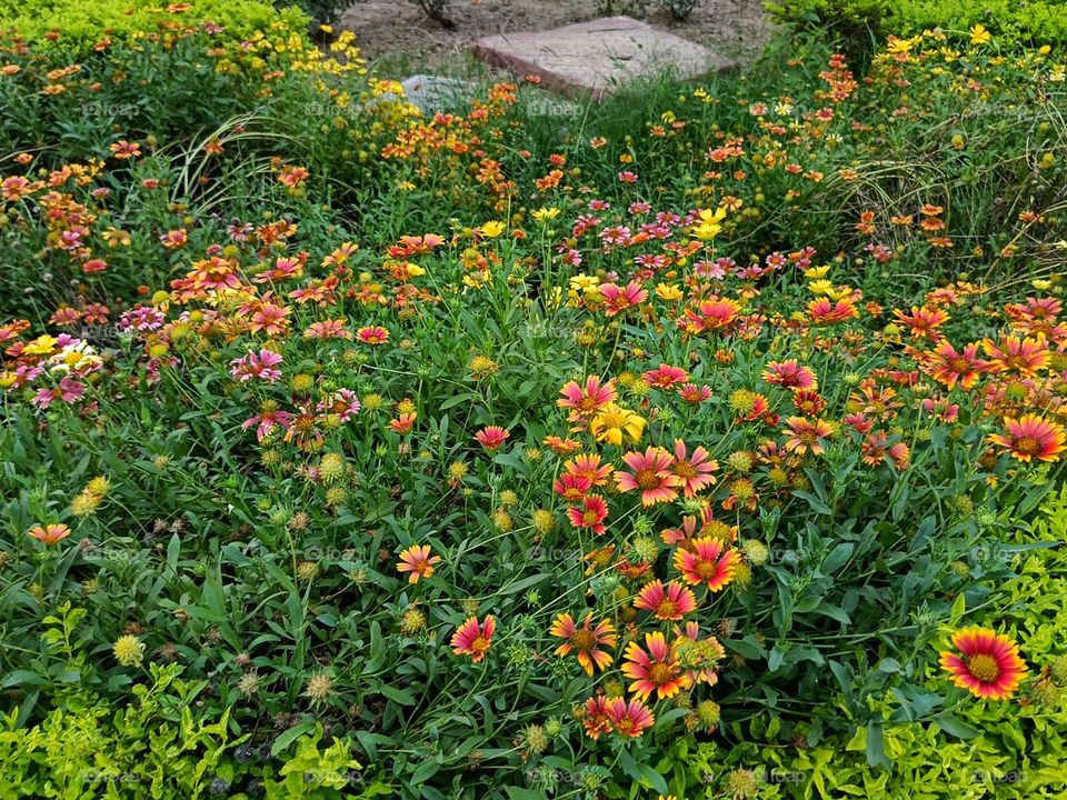 Flying a kite on the grass looks like so much fun! It's a great way to enjoy the outdoors and feel the breeze. What a delightful way to spend the day! πͺπ³