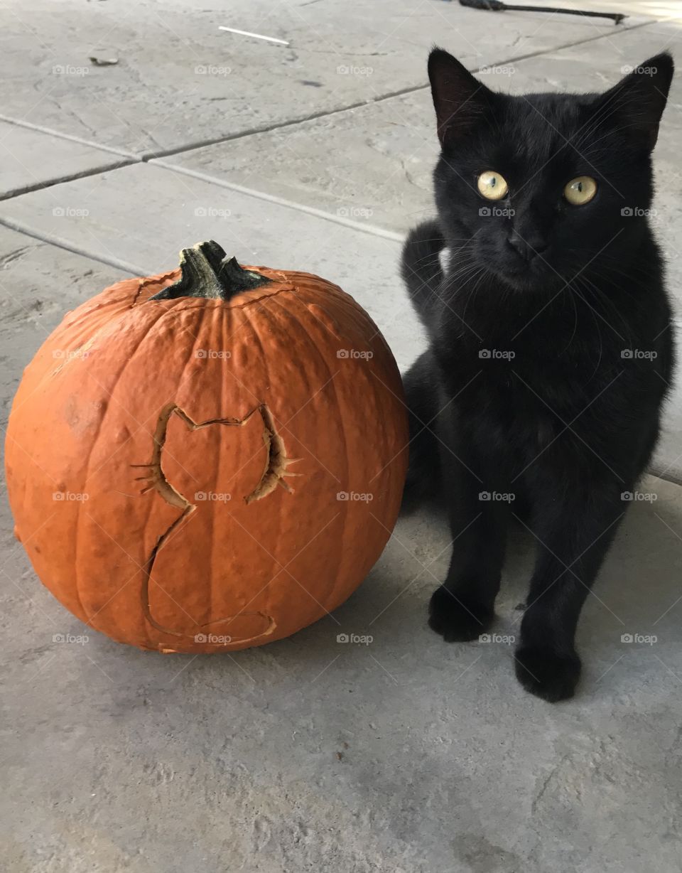 My pumpkin 