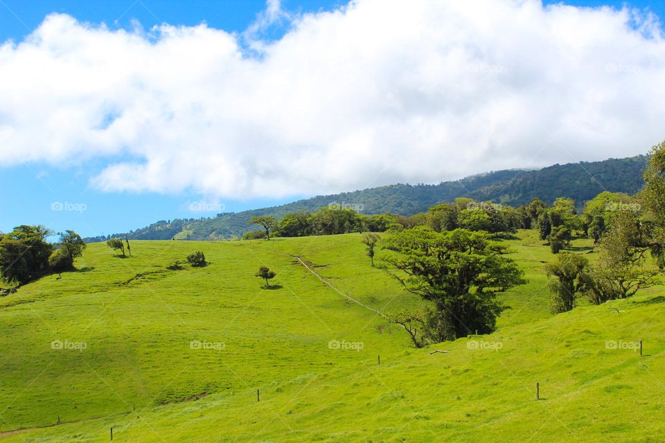 Wonderful summer landscape of Central America.  Green hills with a meadow,  pasture, and lush vegetation.  White clouds and blue sky