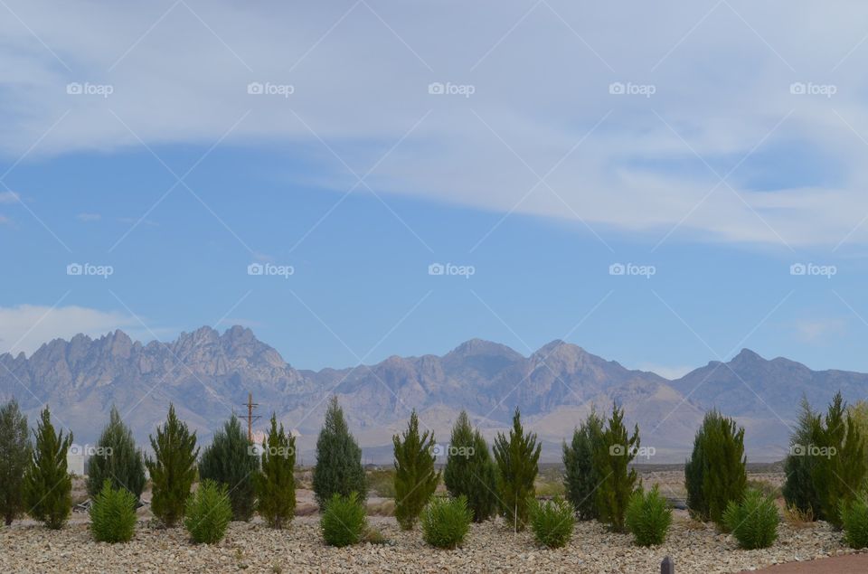 Organ Mountains. Snapped this photo on the east side of Las Cruces, New Mexico.
