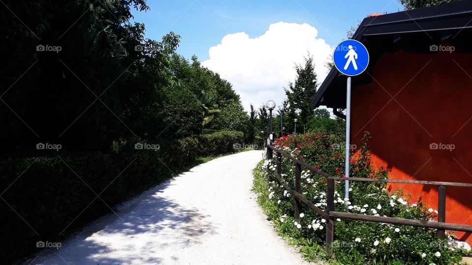 Collecting Memories dhanssen