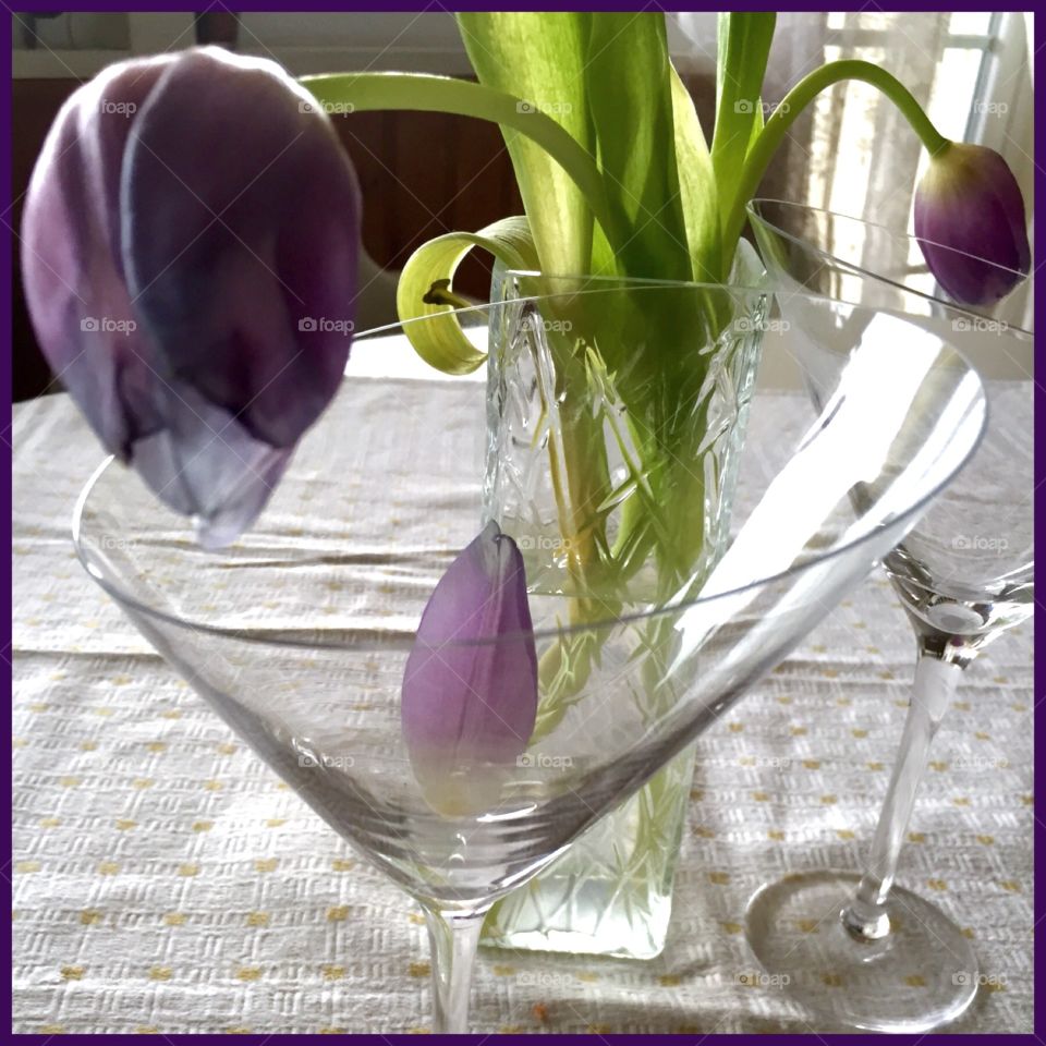 Tulips and glasses