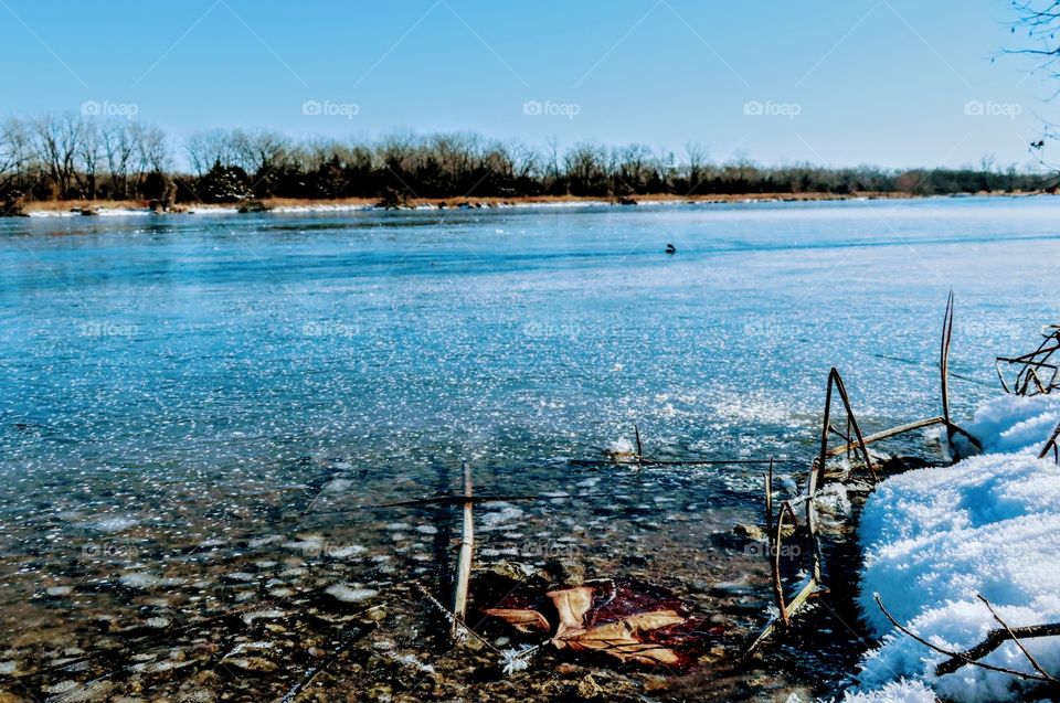 Frozen teal lake, clear enough to see through. "Color Me Frozen.