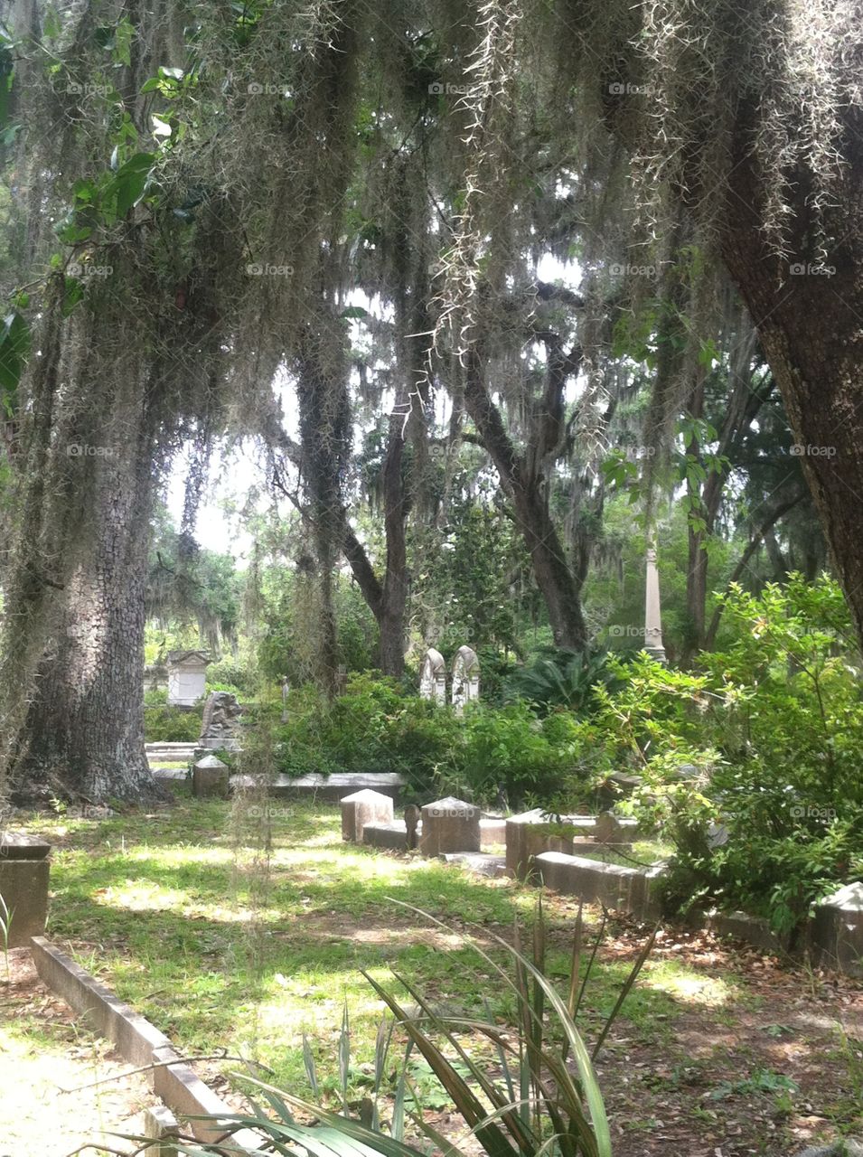 Bonaventure Cemetery