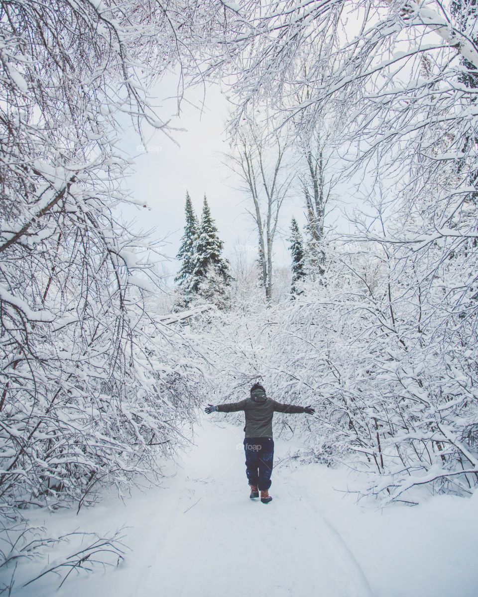 A young man hiking through a massive snowy forest, exploring