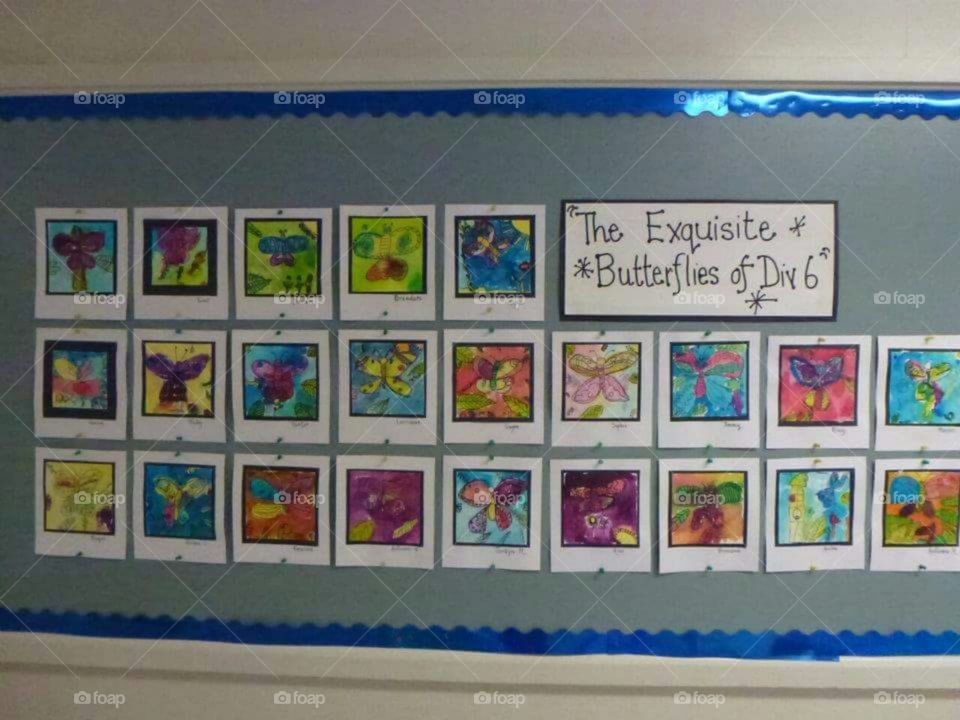 The Exquisite Butterflies of Division 6.