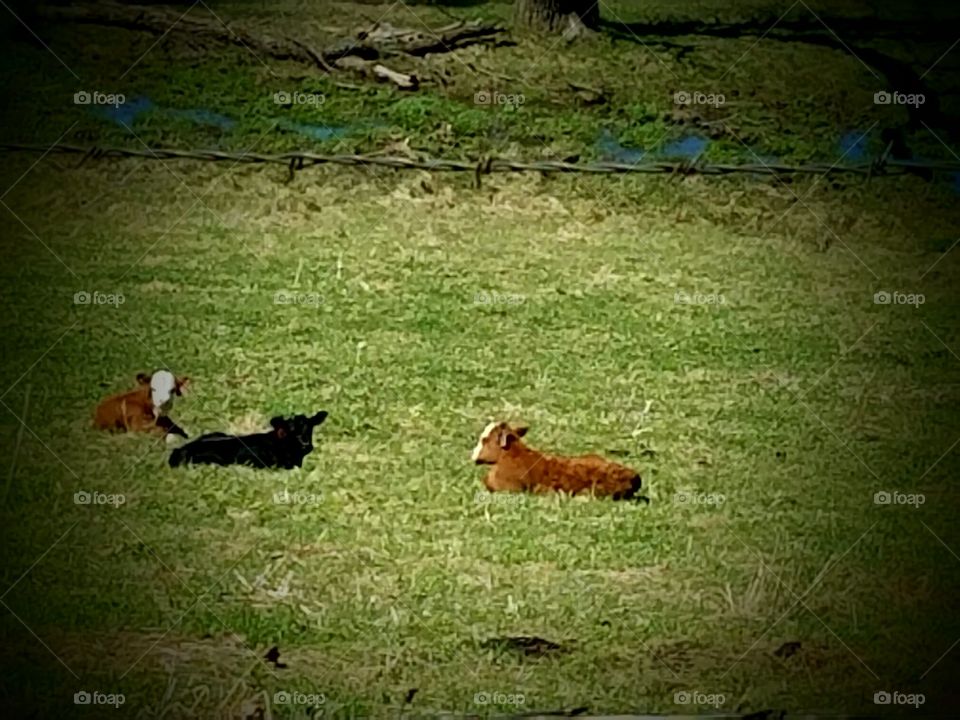 Driving the back Roads and enjoying everything around us