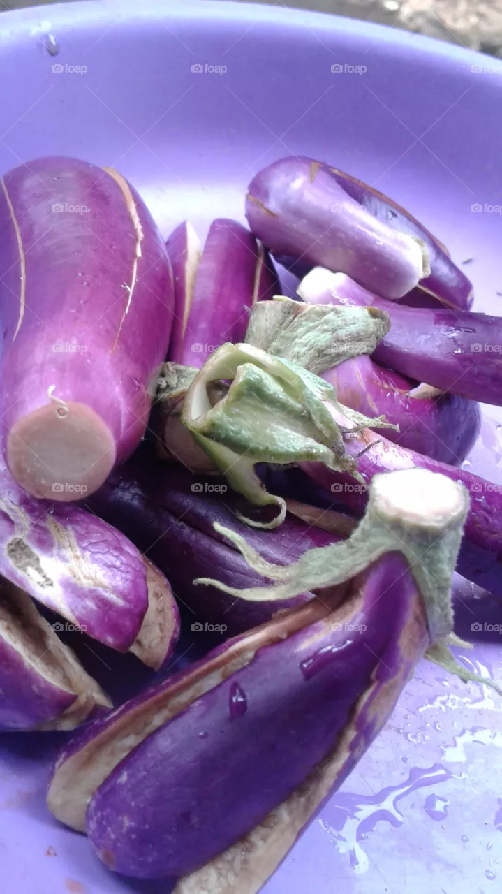 purple colour