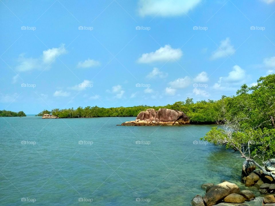 Rock and coral beach