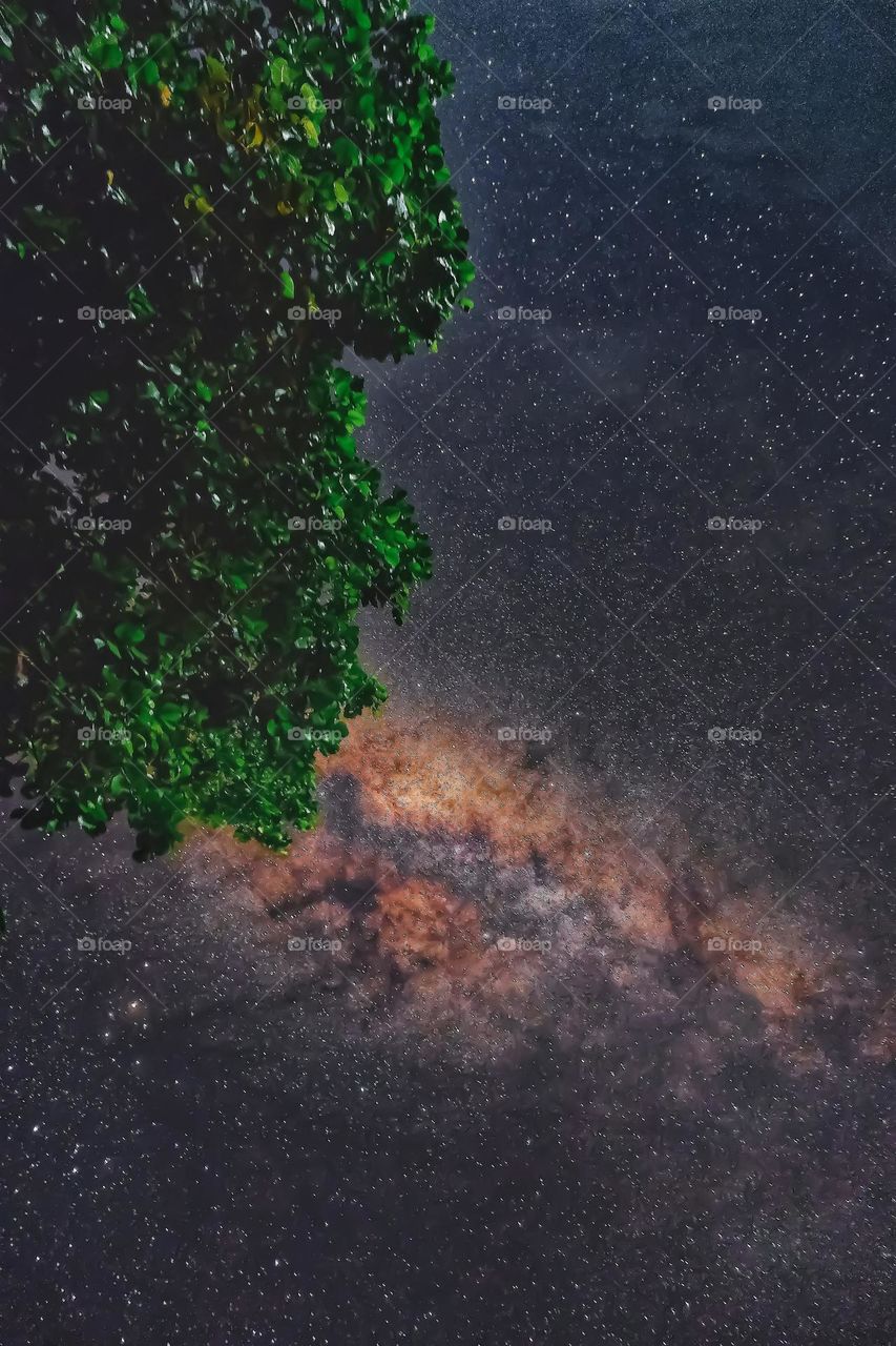 milky Way in the night shot