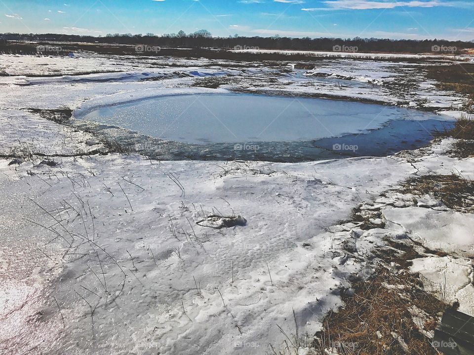 Frozen pond...