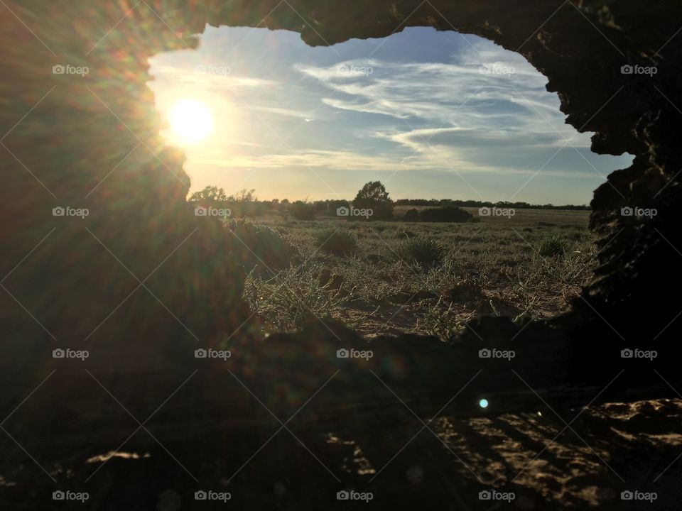 Looking through the wood
