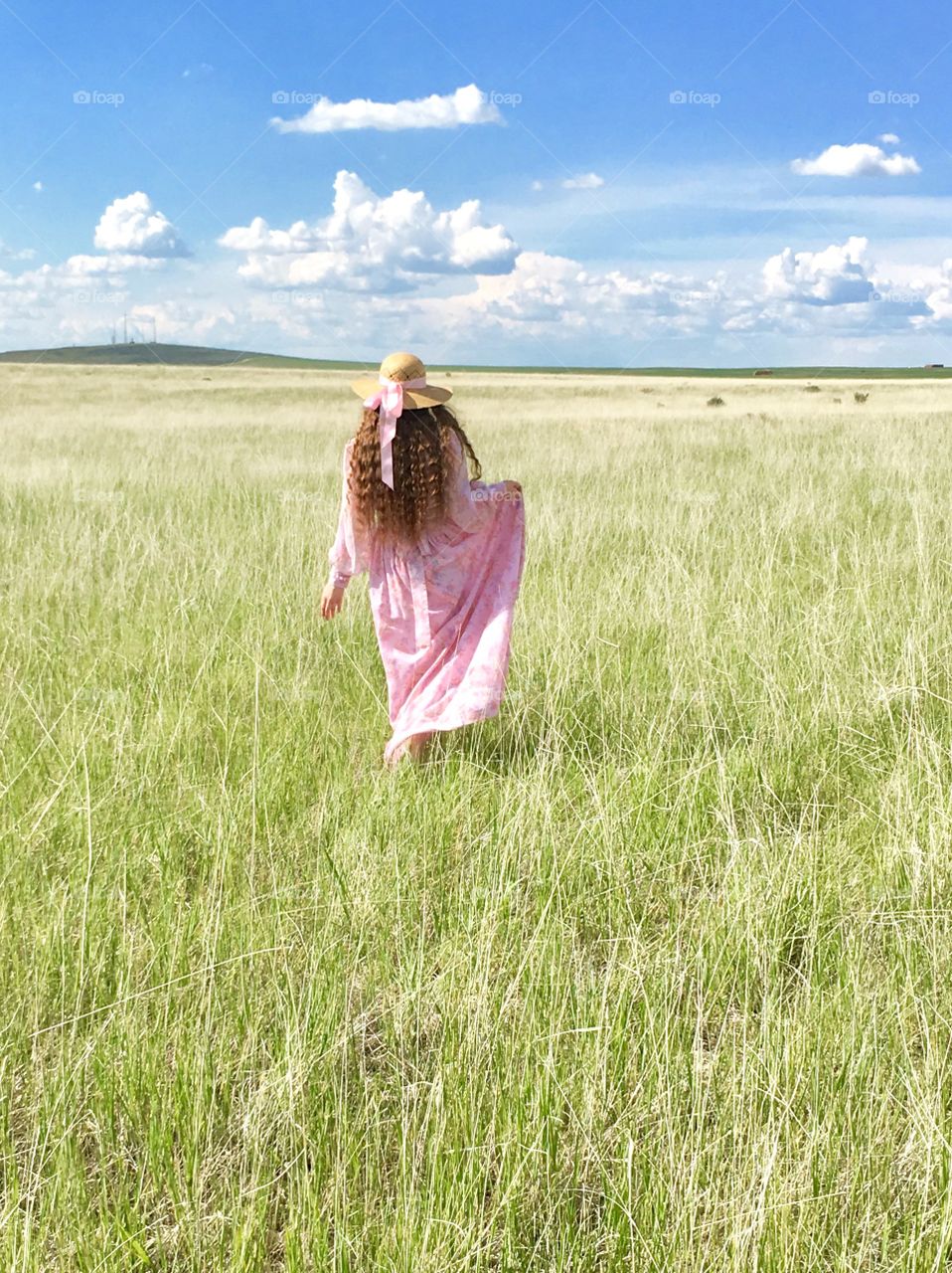 Field, Grass, Summer, Nature, Hayfield