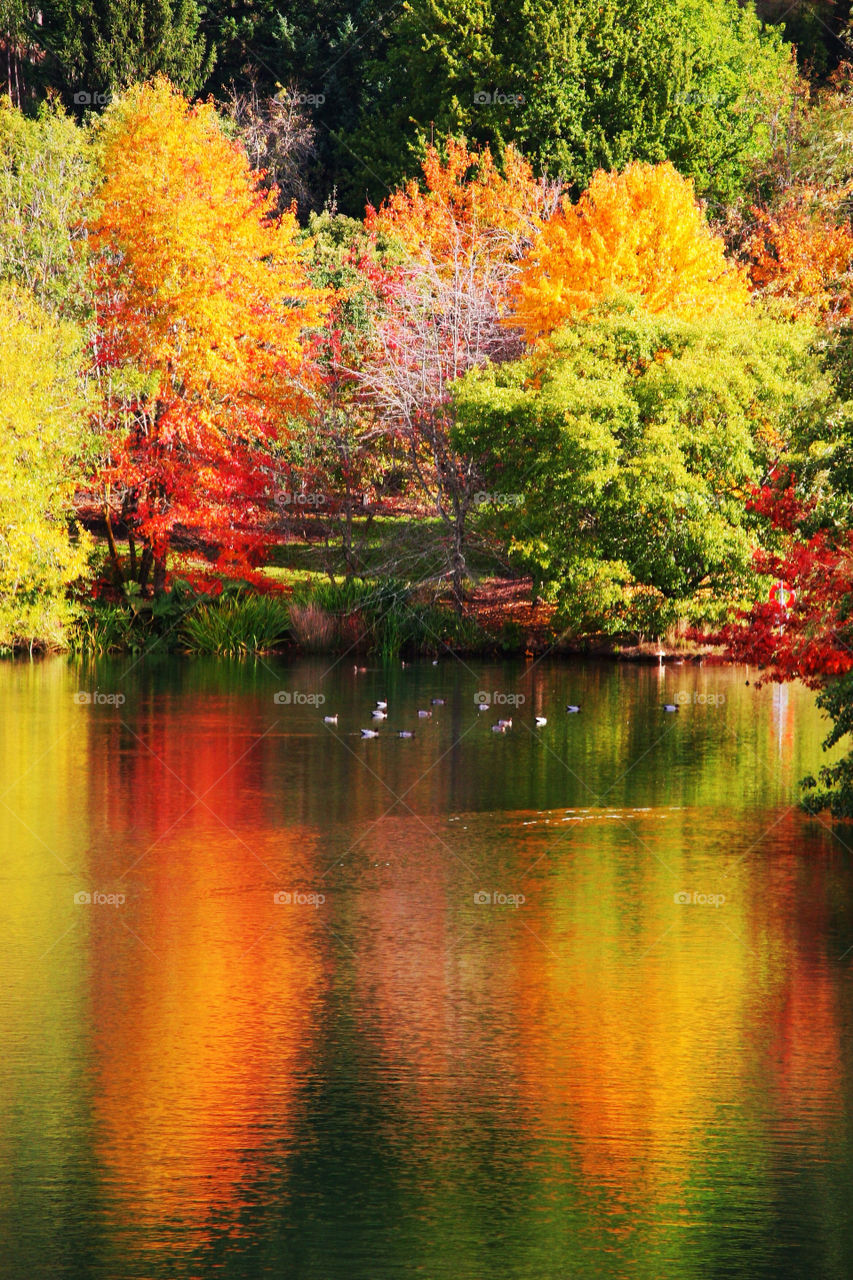 Scenics view of lake