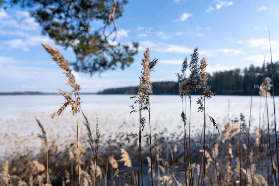 Clear blue sky on a cold winter day.