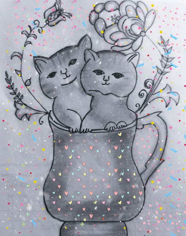cat