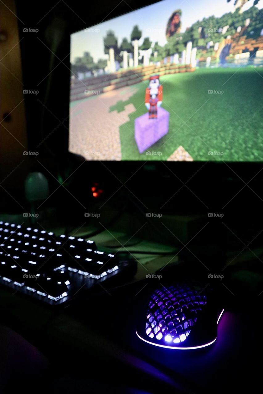 Keyboard mice and screen. Gaming accessories 