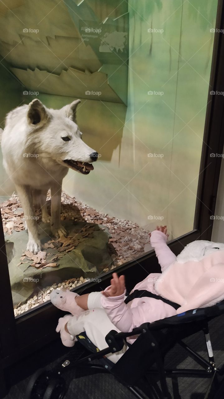 Looks so adorable face to face with each other.