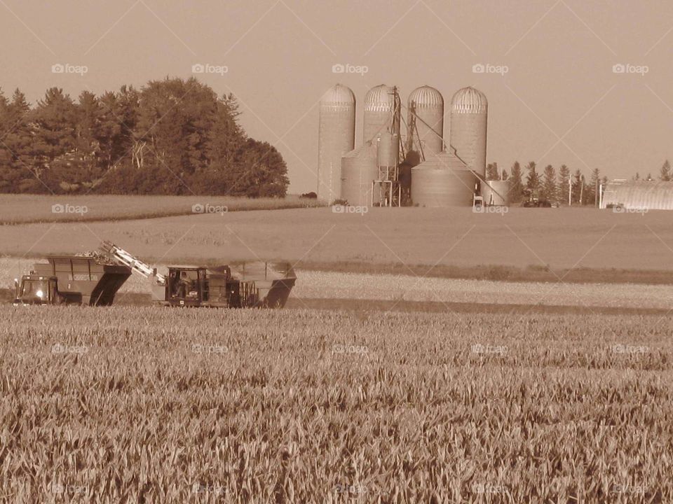 life in Iowa for a farmer