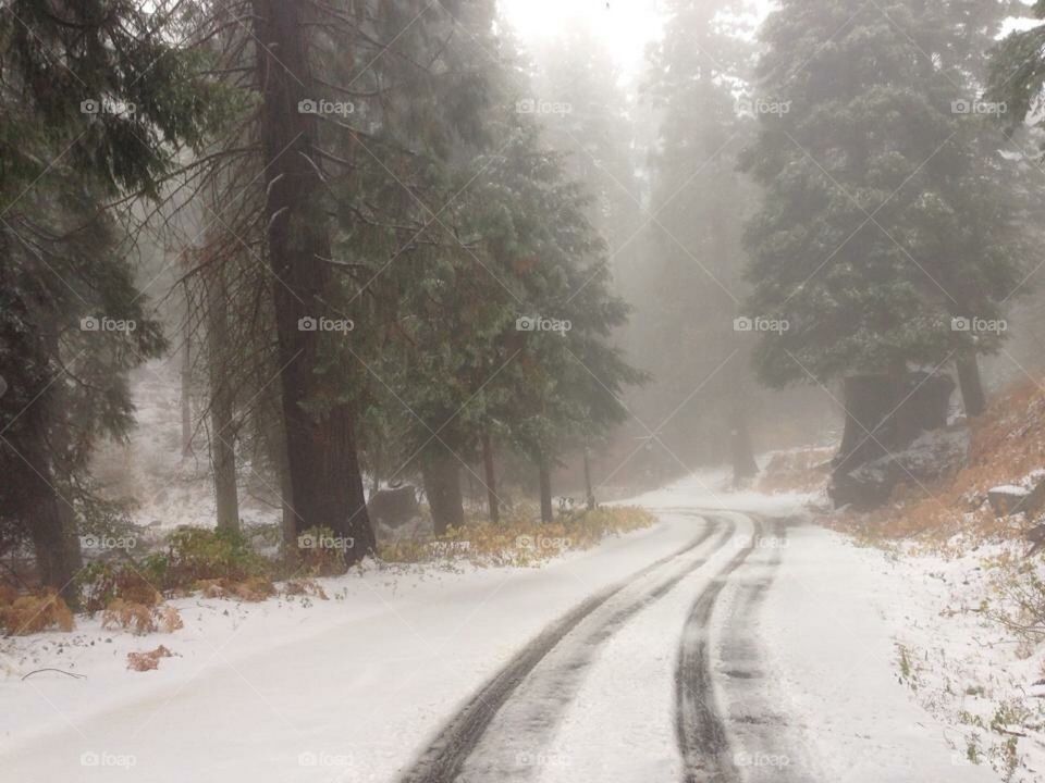 Winter Mountain road, light snow in California 