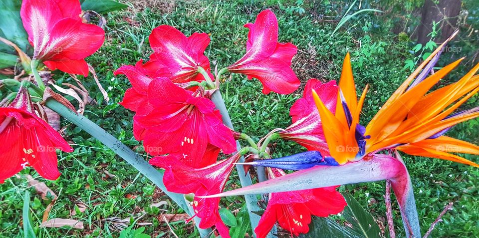 Around the corner from Sis's