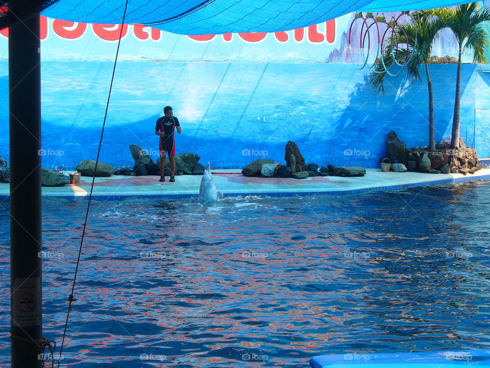 Water, Tropical, Summer, Travel, Ocean