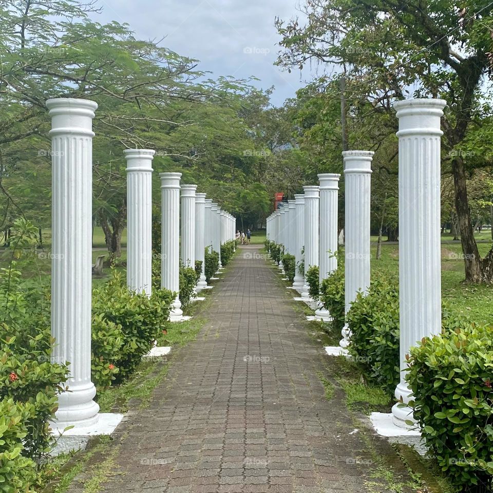 Springtime in a park